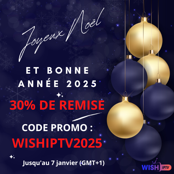 Noël et nouvelle année 2025