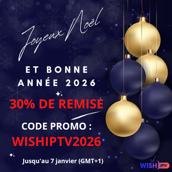 Noël et nouvelle année 2026
